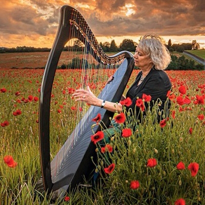 What to expect when booking a harpist