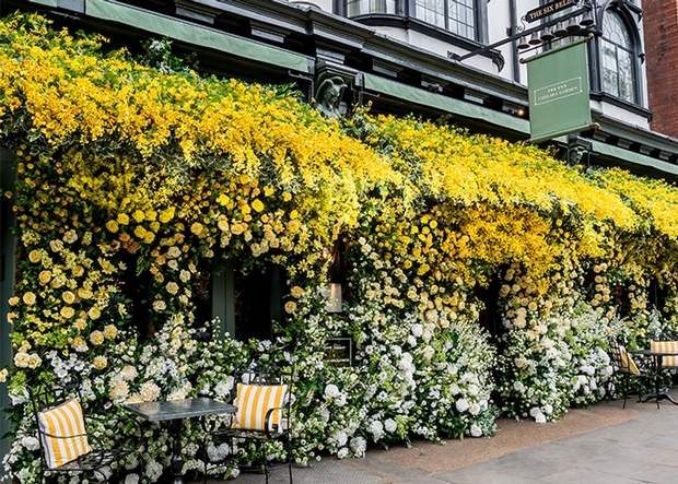 Bridal designer Jenny Packham partners with The Ivy Chelsea Garden restaurant to create show-stopping floral installation: Image 1
