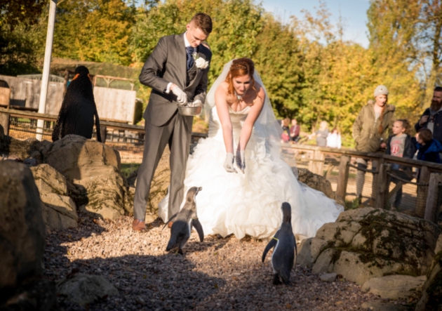 Plan ahead with Twycross Zoo wedding showcase: Image 1