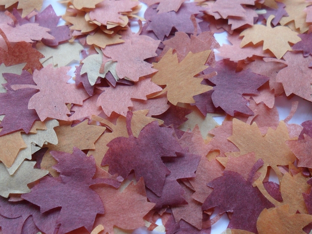 Confetti Wishes has a new autumn range: Image 1