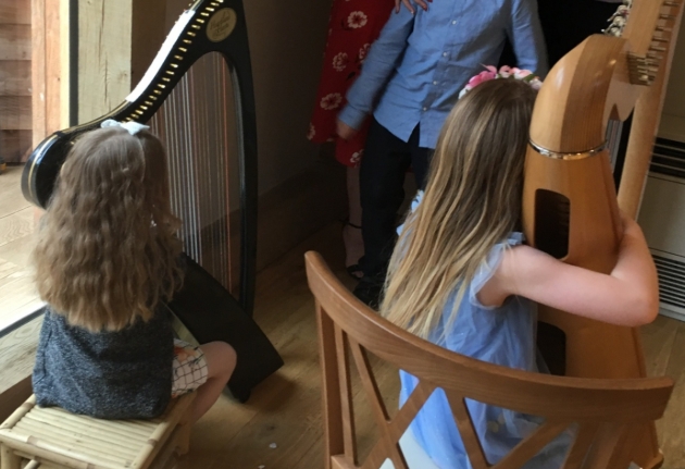 New service from West Midlands harpist: Image 1