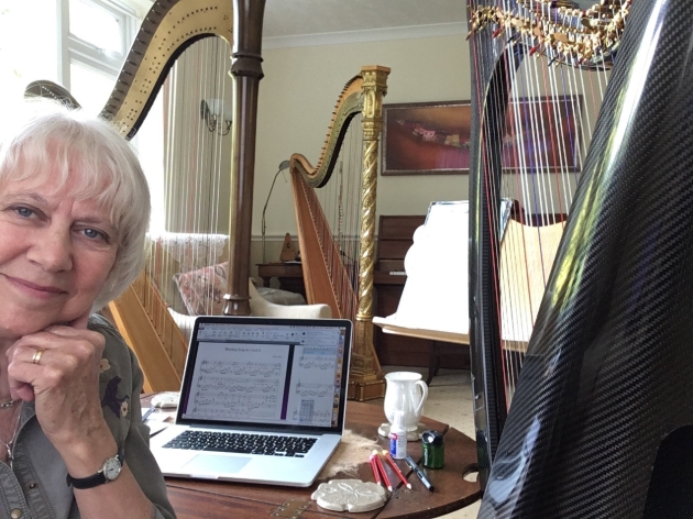 The sound of love: local harpist adapting to pandemic: Image 1