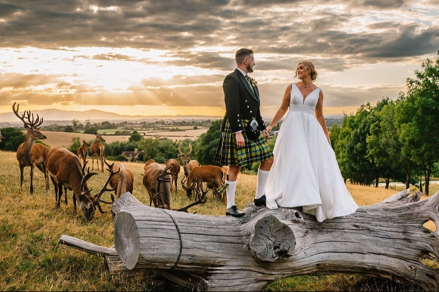 A bride and groom walking in hand-in-hand in the countryside surrounded by deer
