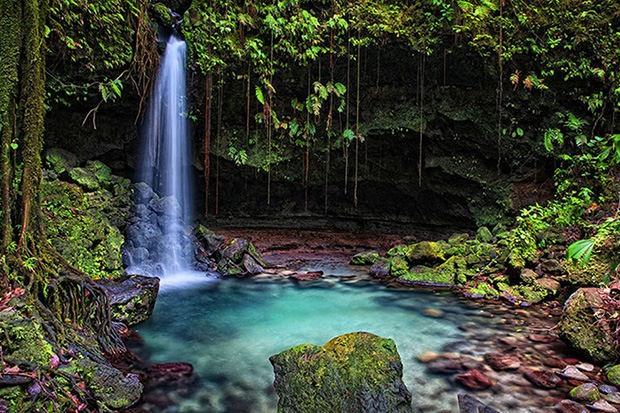 Discover Dominica: Image 4