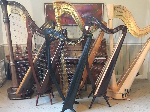 Helen Barley Harpist
